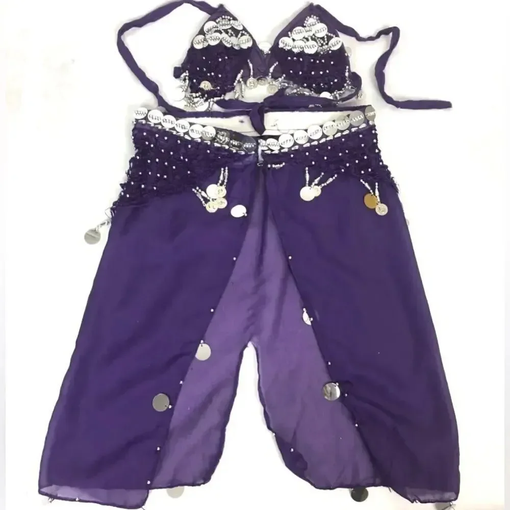 Belly Dancer Girls Toddler 2PC Purple Costume & Silver Dangles SMALL